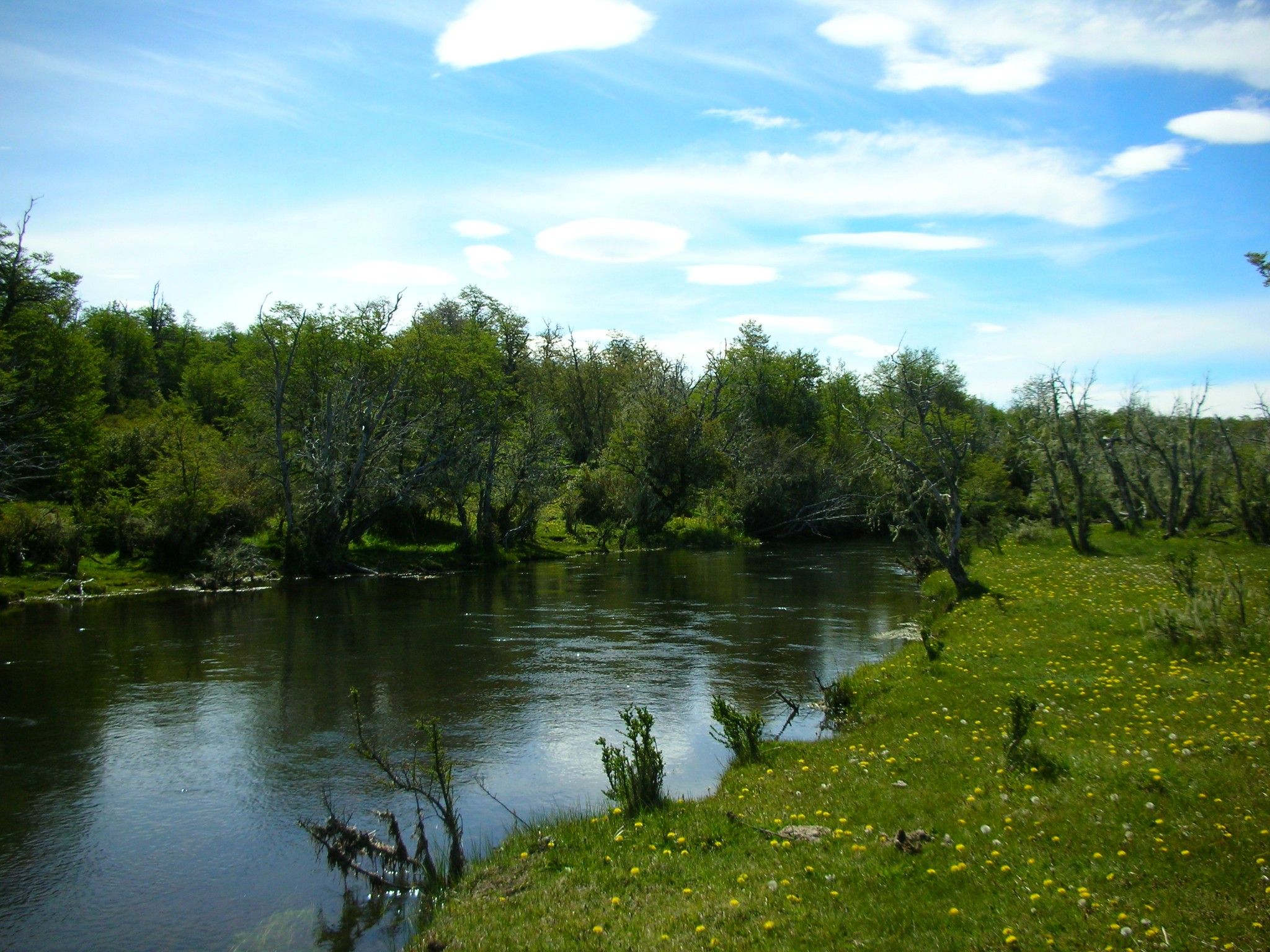 DSCN0728.JPG