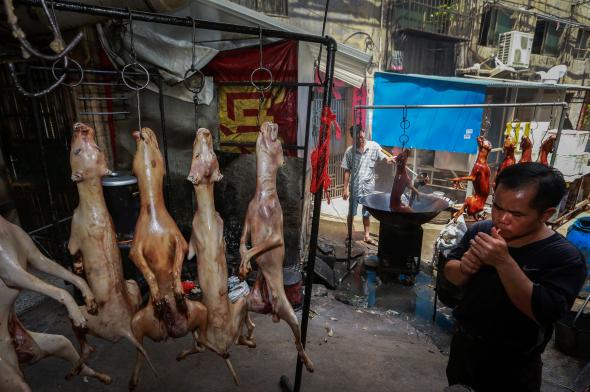 01-yulin-dog-meat-festival.adapt.590.1.jpg