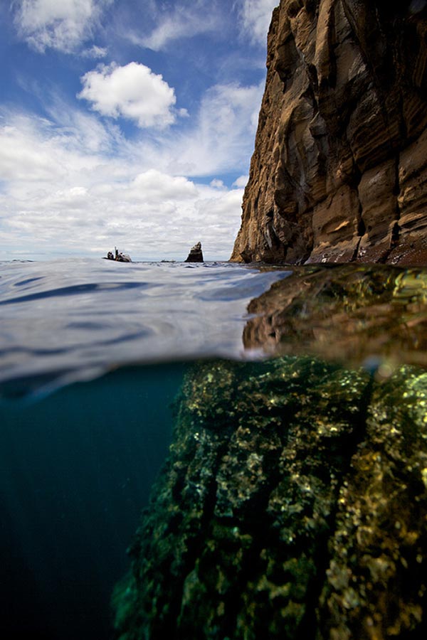 Split View – Galapagos Islands.jpg