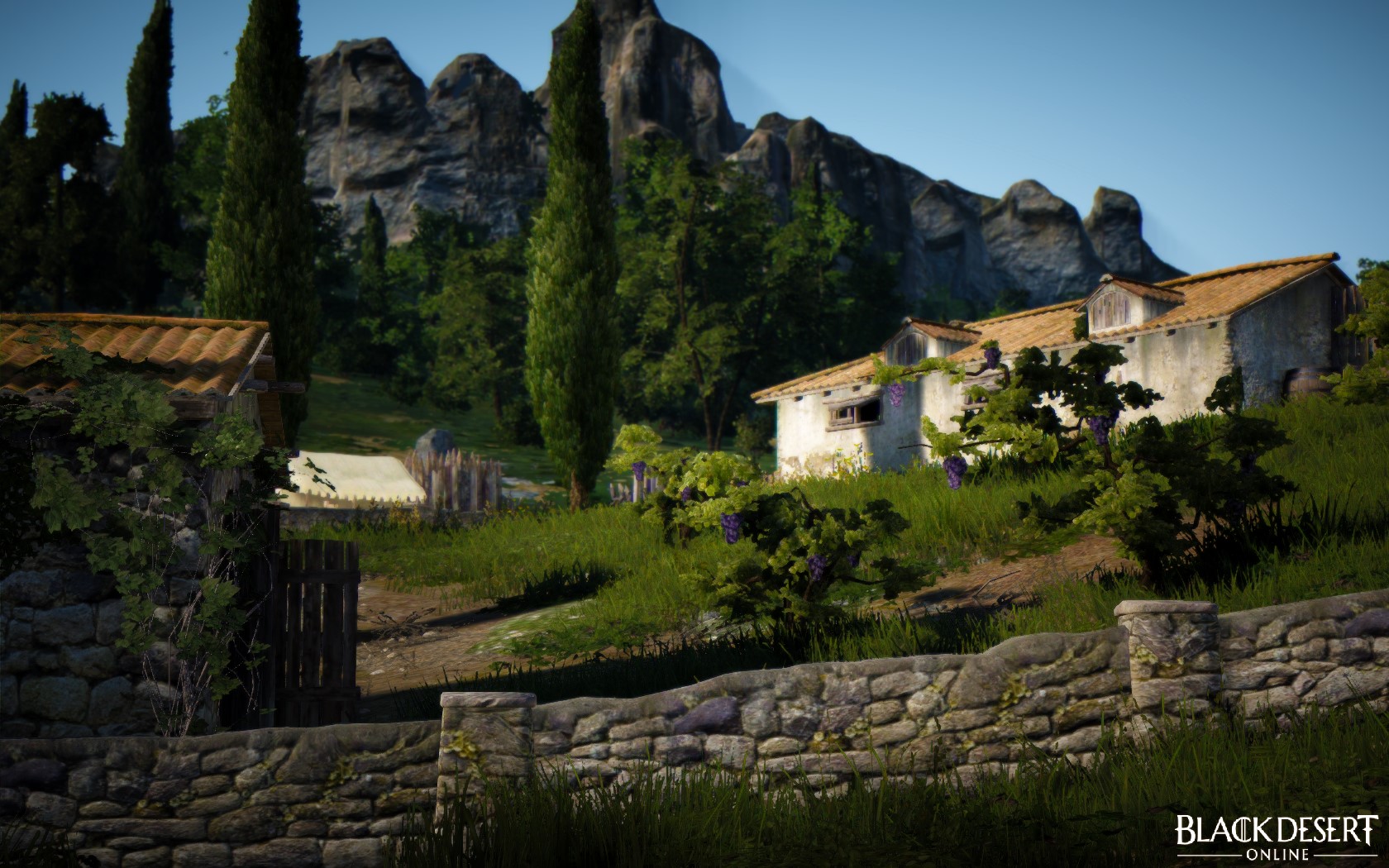 Black Desert Online MMO Game