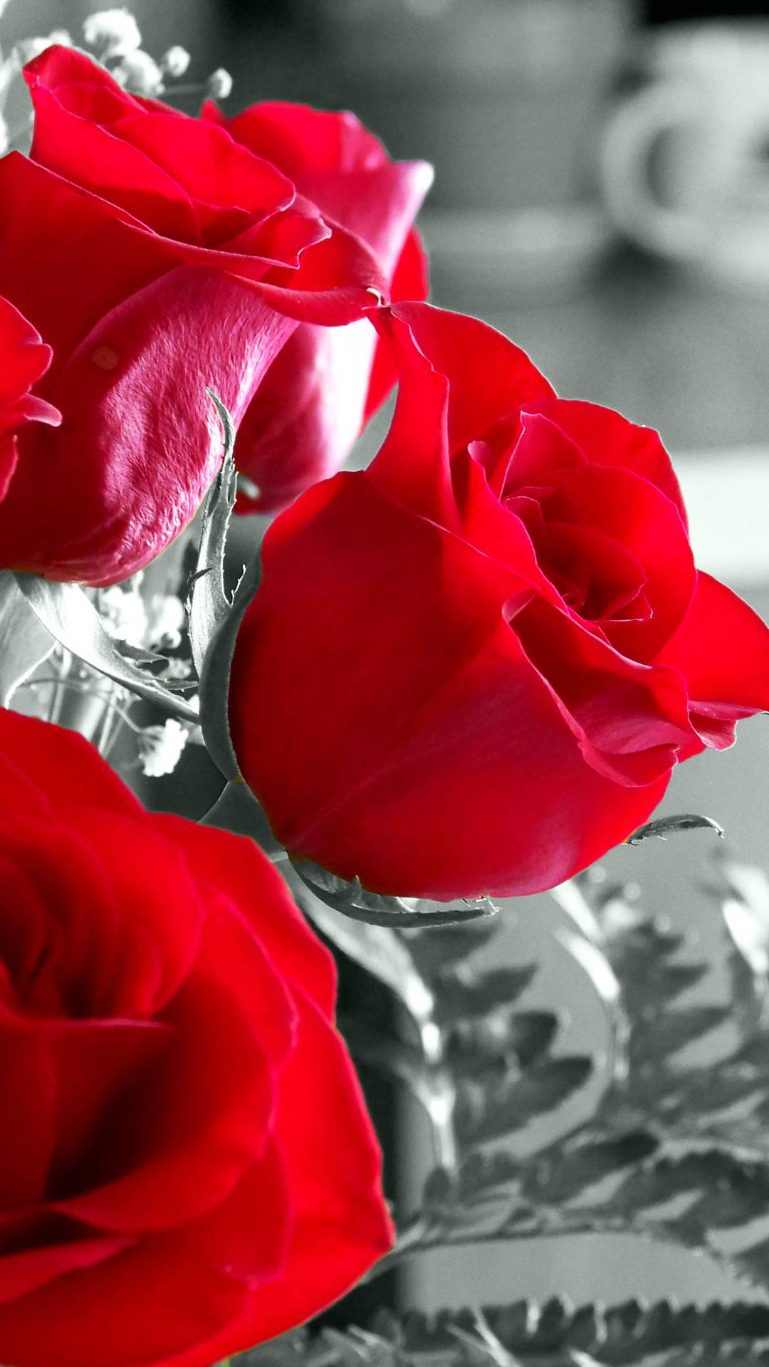 Red_Roses-dabf5e5a-dada-3f87-87db-dc1e6e87c615.jpg
