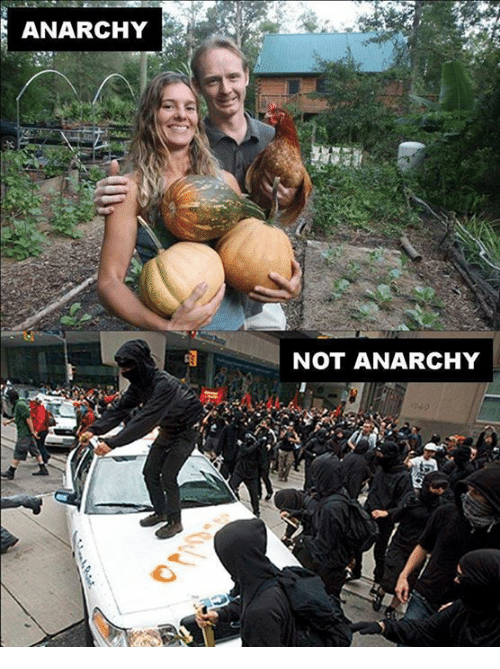 anarchy-not-anarchy-4873149.png
