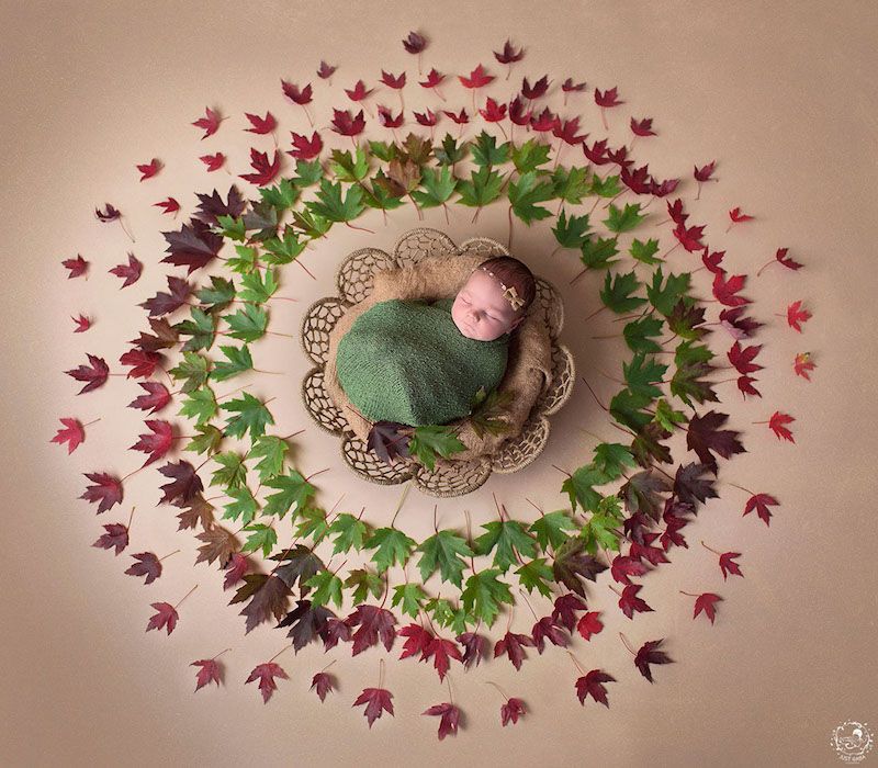 newborn-photos-nature-mandalas-1.jpg