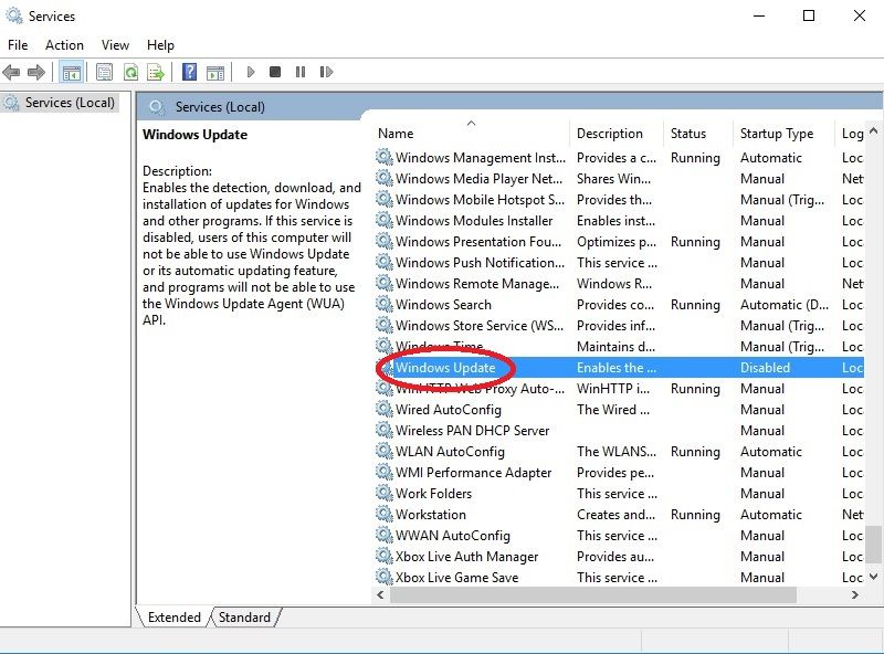 services window.jpg