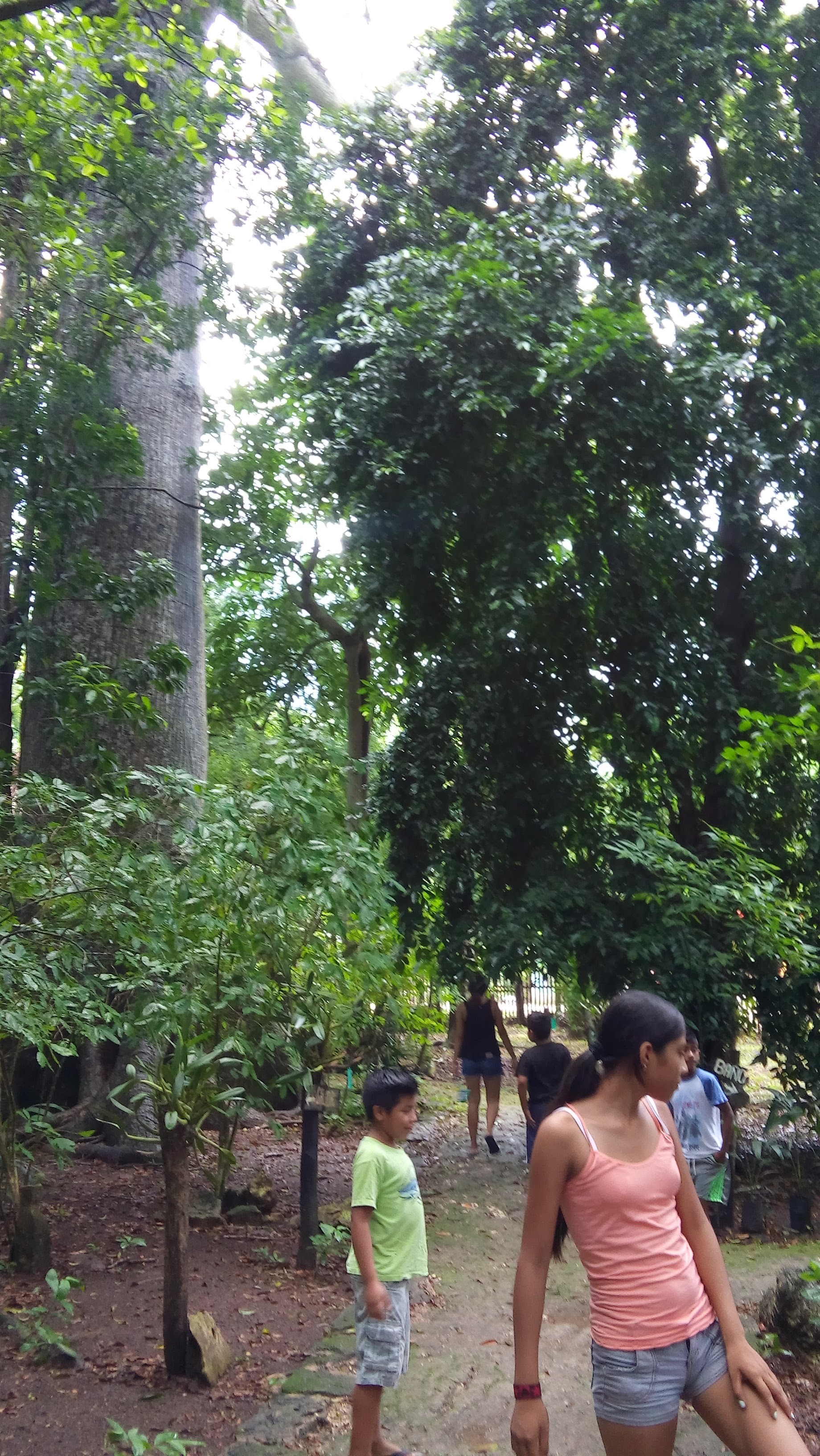 20160727_134119.jpg