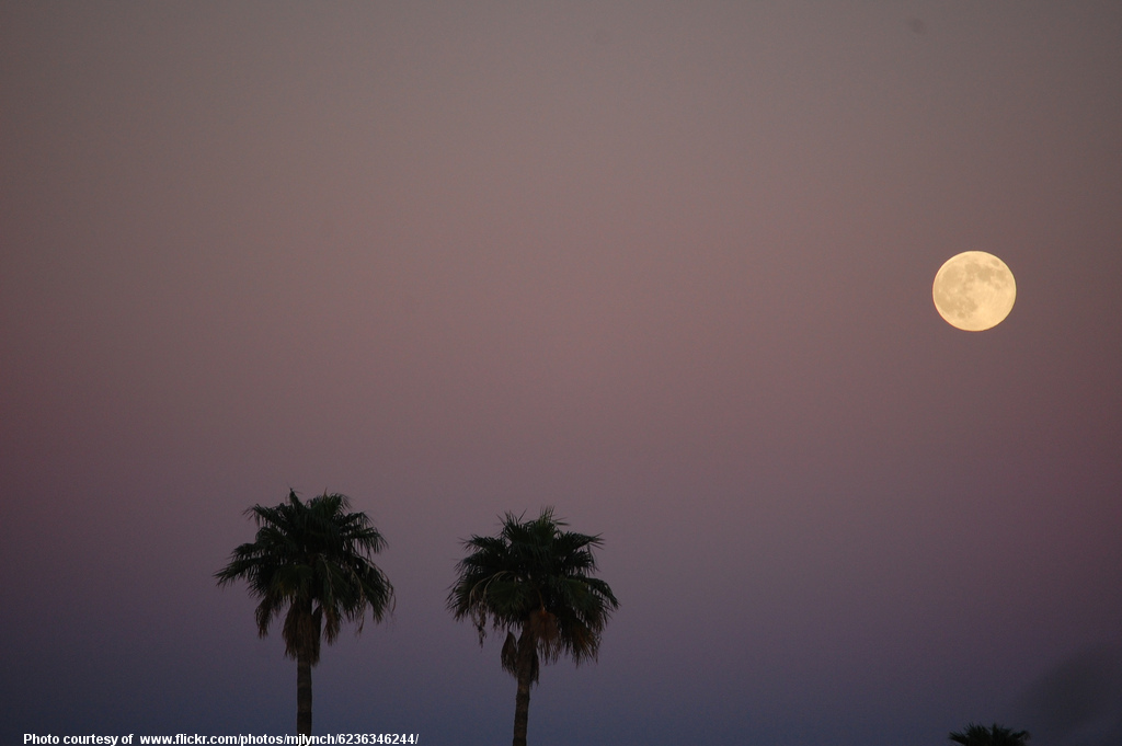 FullMoonInSmokyLavenderSky-041118.jpg