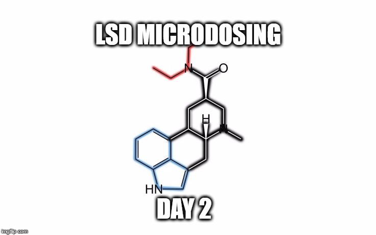 lsd2.jpg