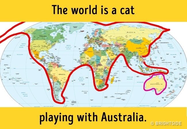 The world is a cat.jpg