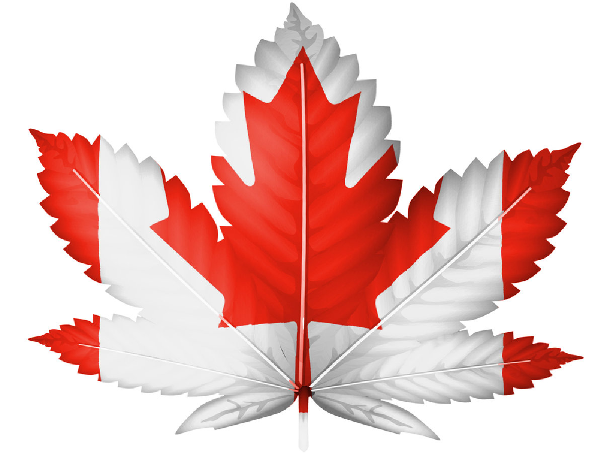 Кленовый лист Канада