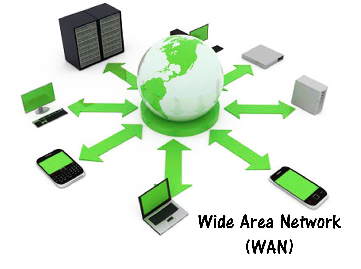 07-WAN.jpg