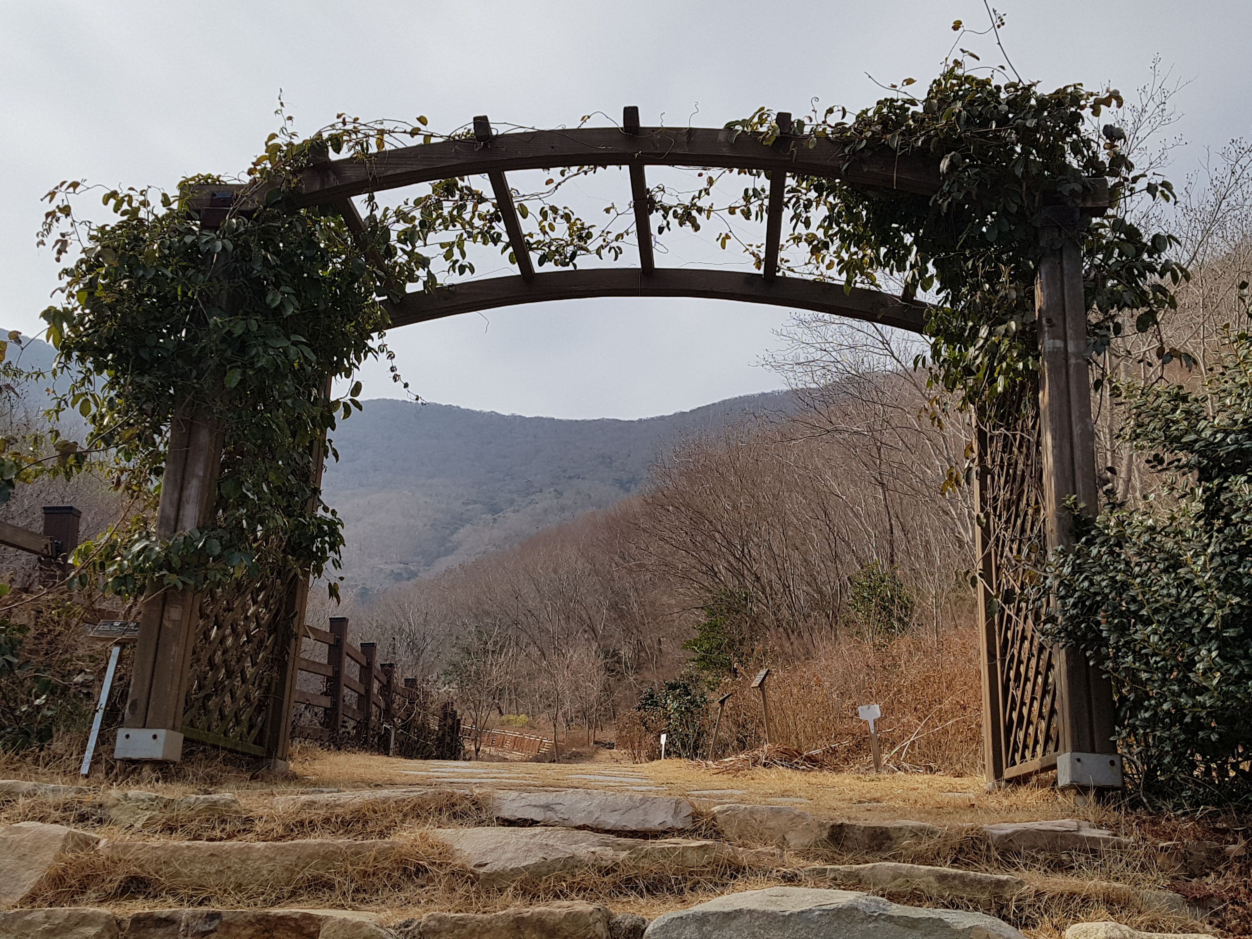 20180114_143409.jpg