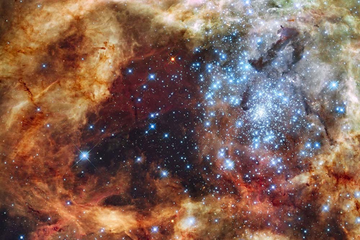 nebula cluster.jpg