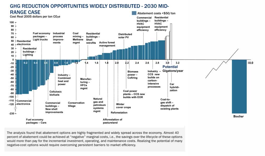 biocharMcKinsey.jpg