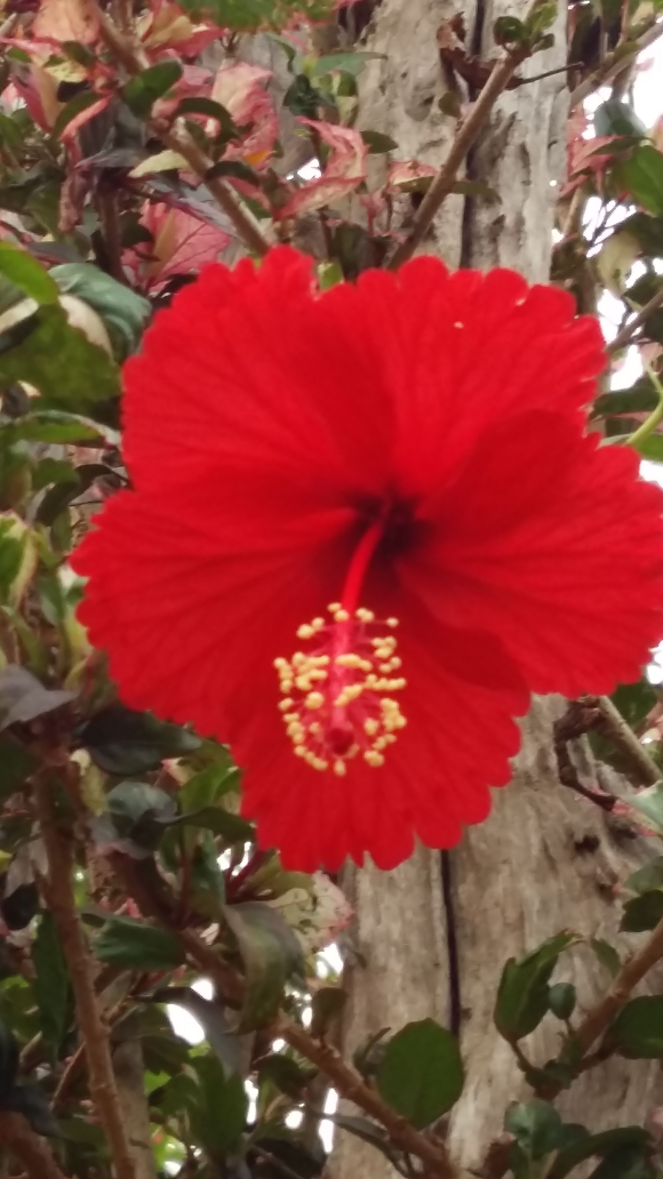 20180326_072746.jpg