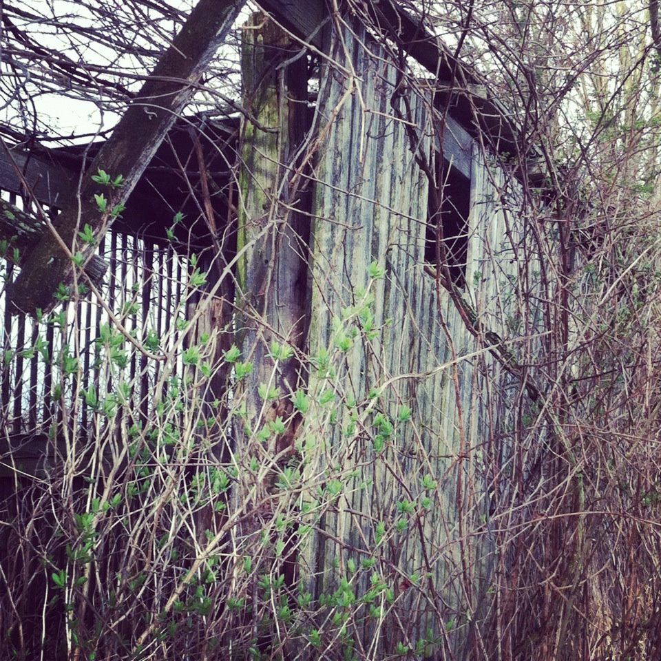 corn crib.jpg