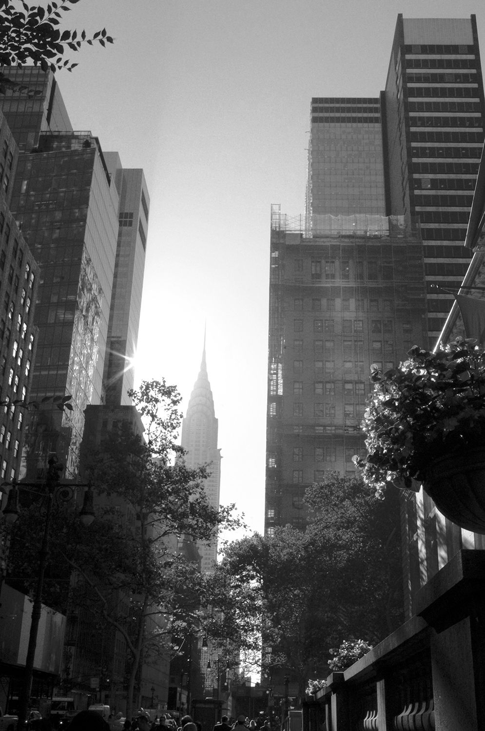 nycChysler&flowersB&w.jpg