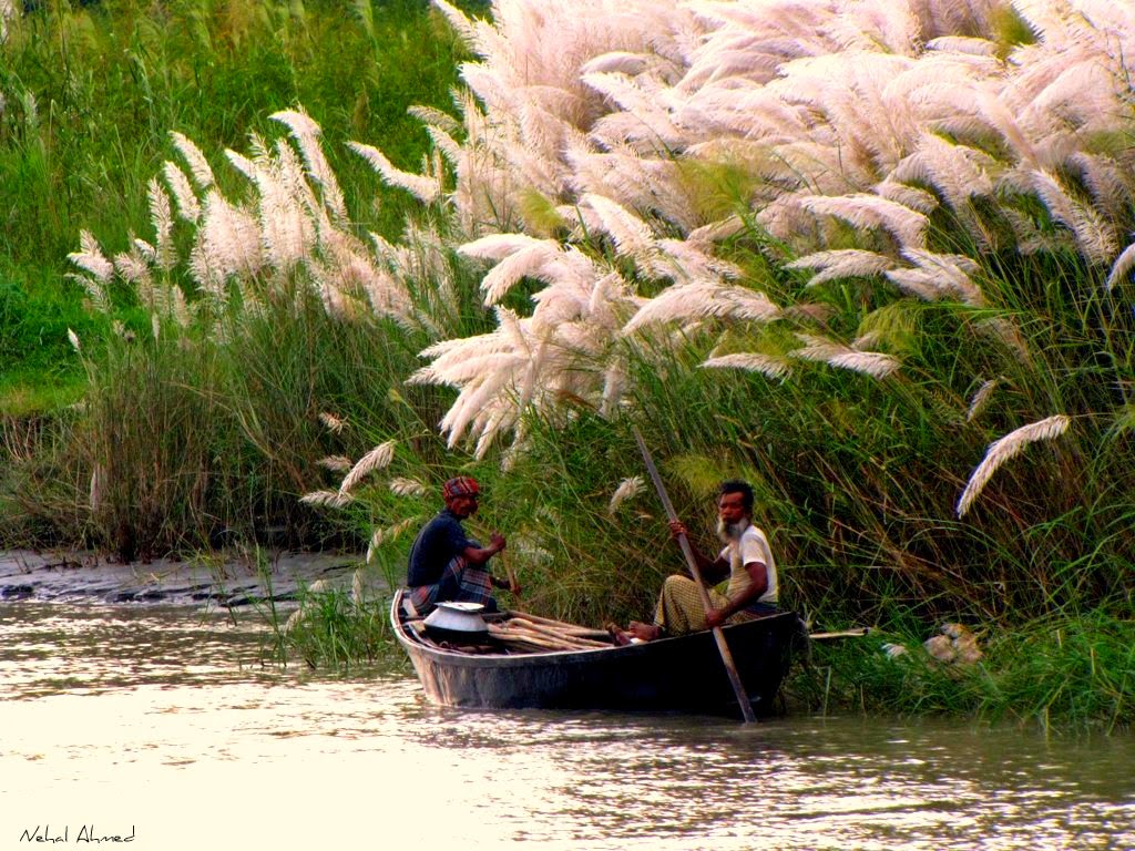 bangladesh-sightseeing-attractions-kans-grass-boat.jpg