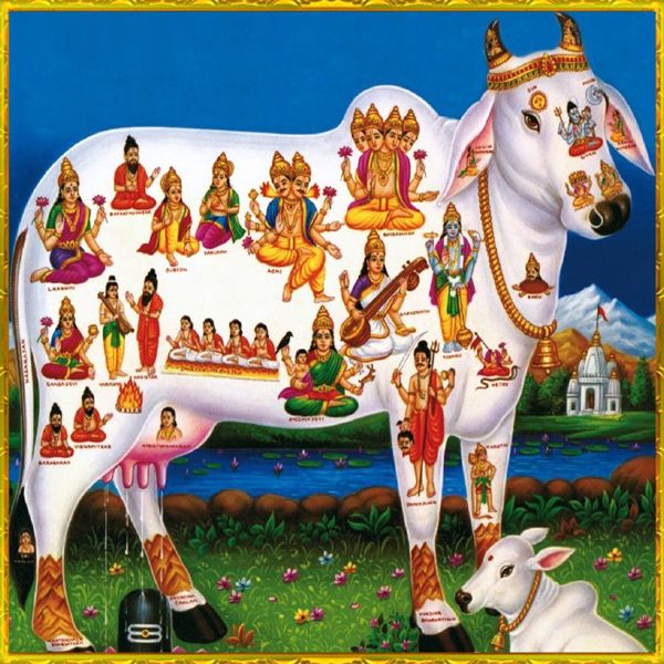 gho-lakshmi.jpg