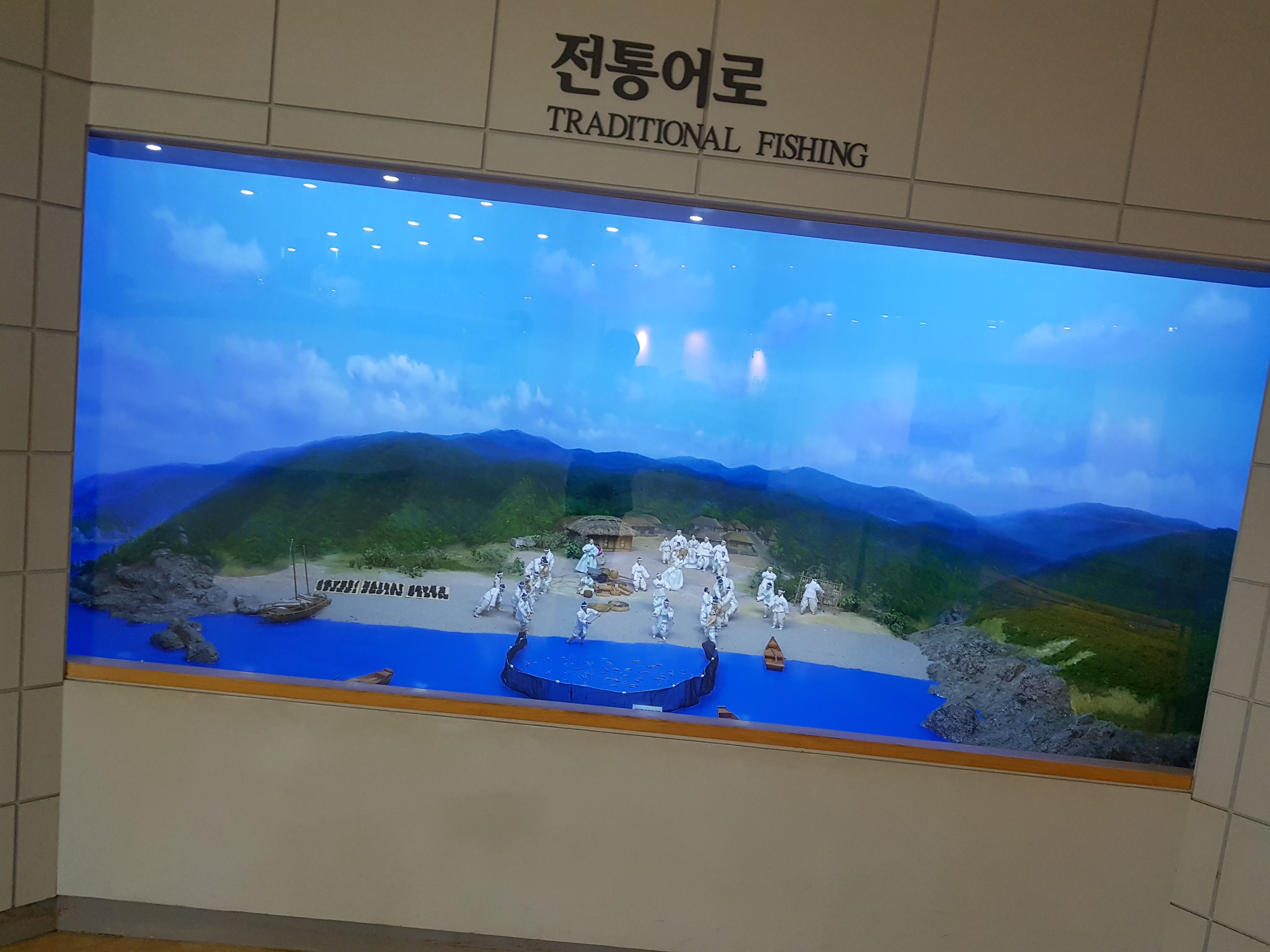 20170903_113935.jpg