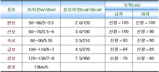 걷기 칼로리 2.jpg