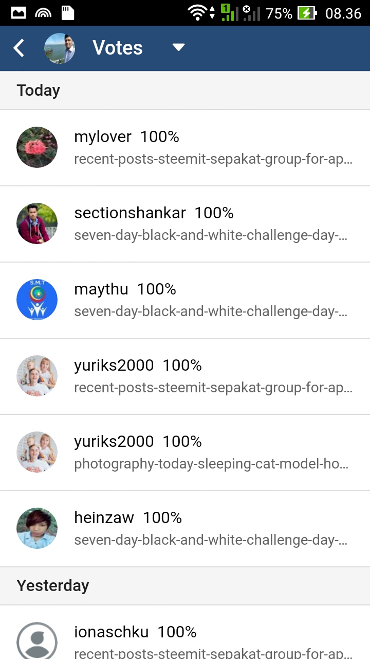 votes.jpeg