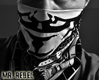 Mr Rebel.png