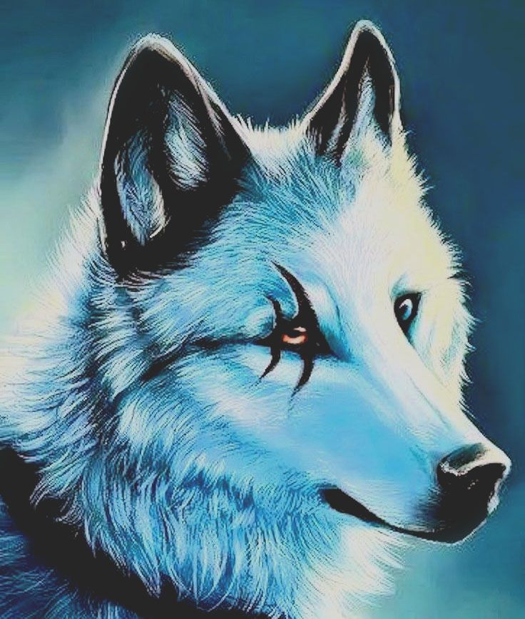 profile-wolf-steem.jpg