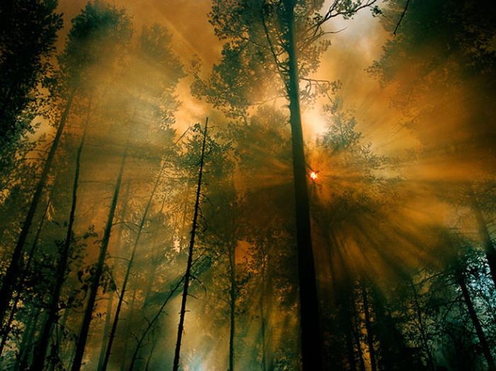 the_best_of_national_geographic_44.jpg