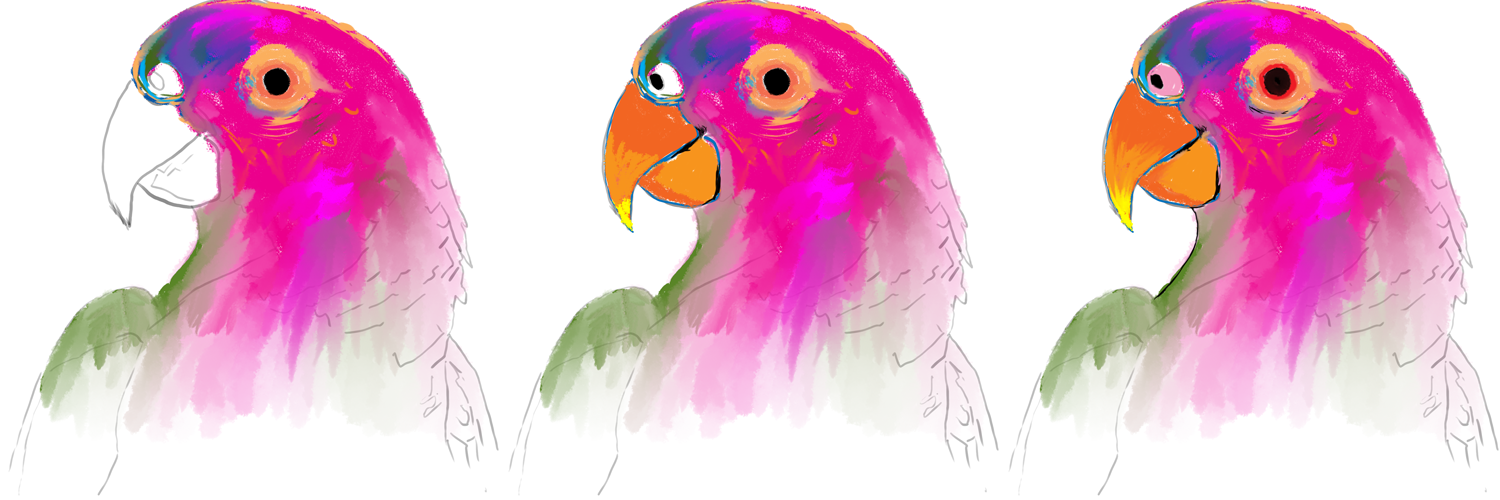parrot_col01.png