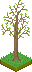 oak_grass_m06.png