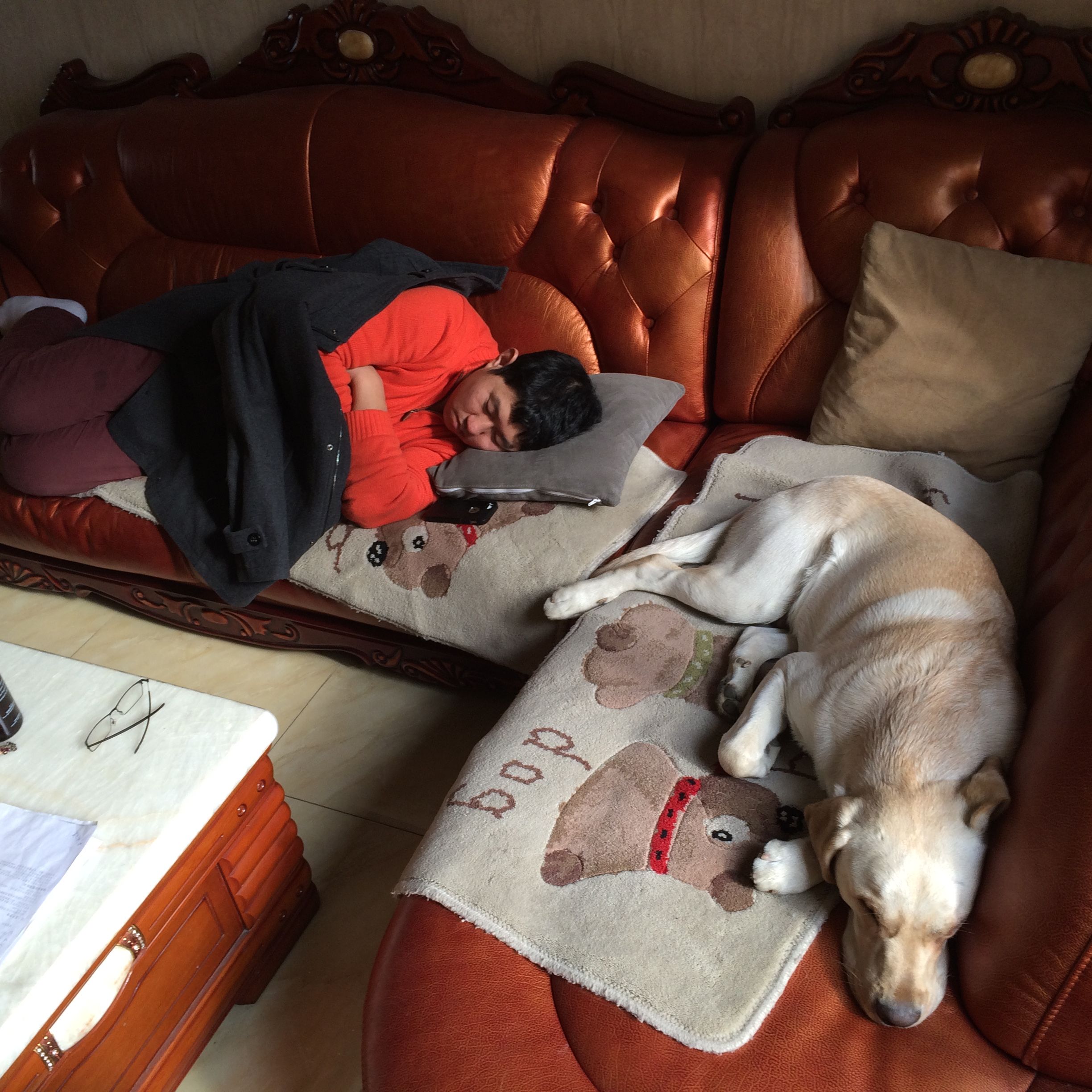 2015-01-18 14.18.47.jpg