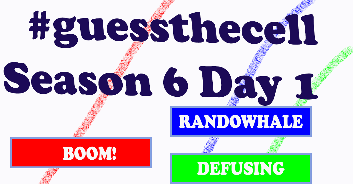 GuessTheCellS6D1.gif