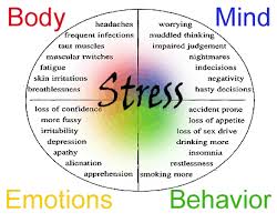 Fighting Off Stress Pressure Related Diseases Steemkr