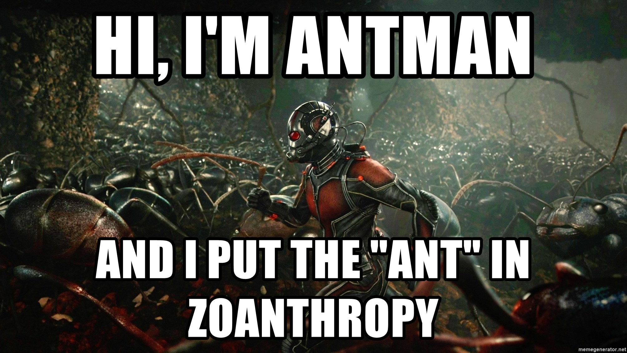 hi-im-antman-and-i-put-the-ant-in-zoanthropy.jpg