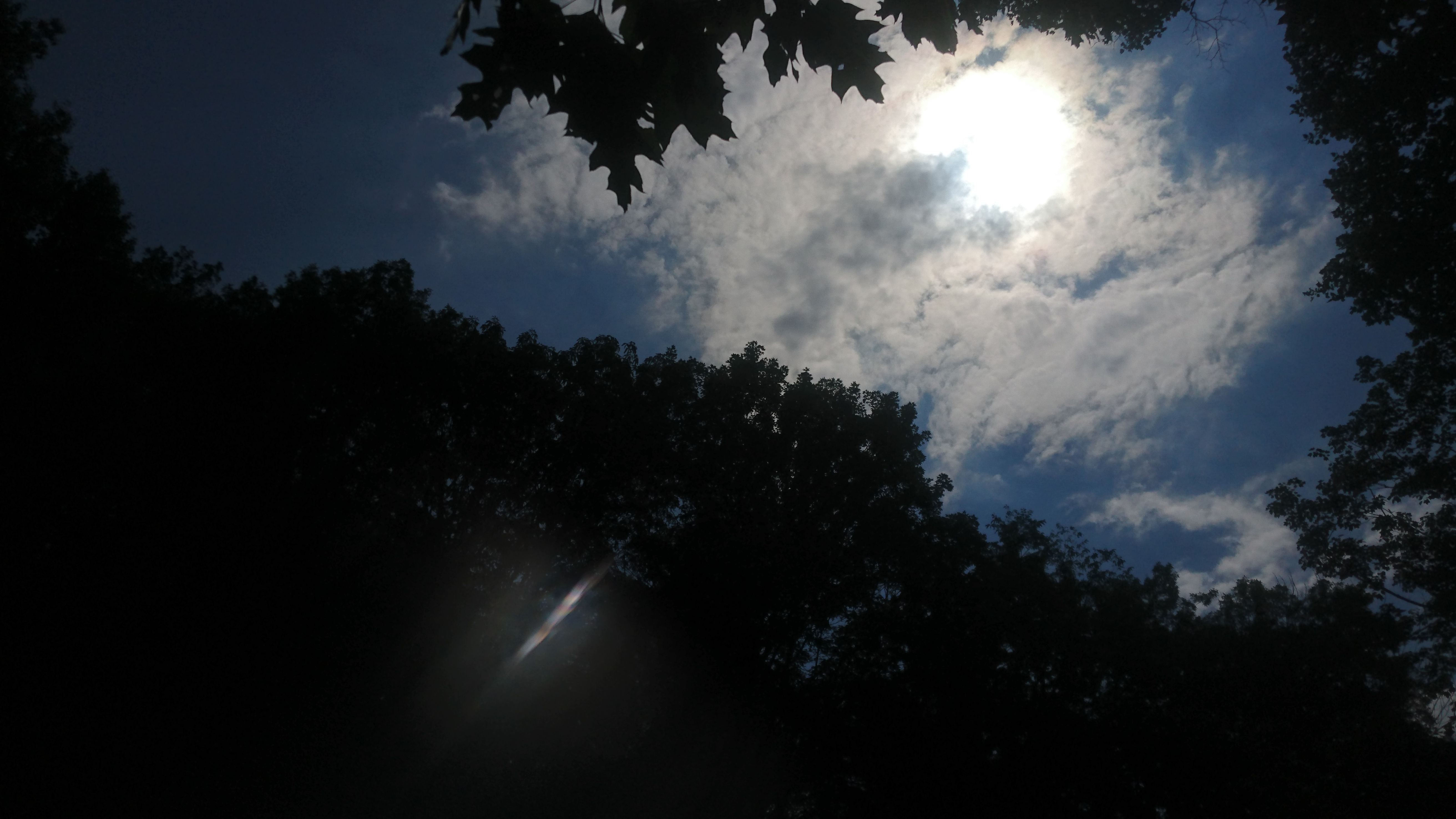 DSC_0840.JPG