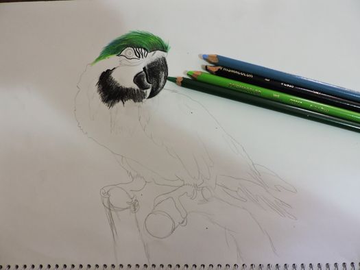 loro2.jpg