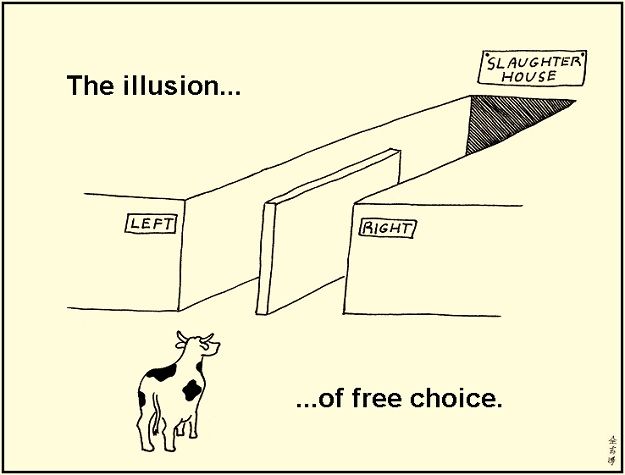 illusion of choice.jpg