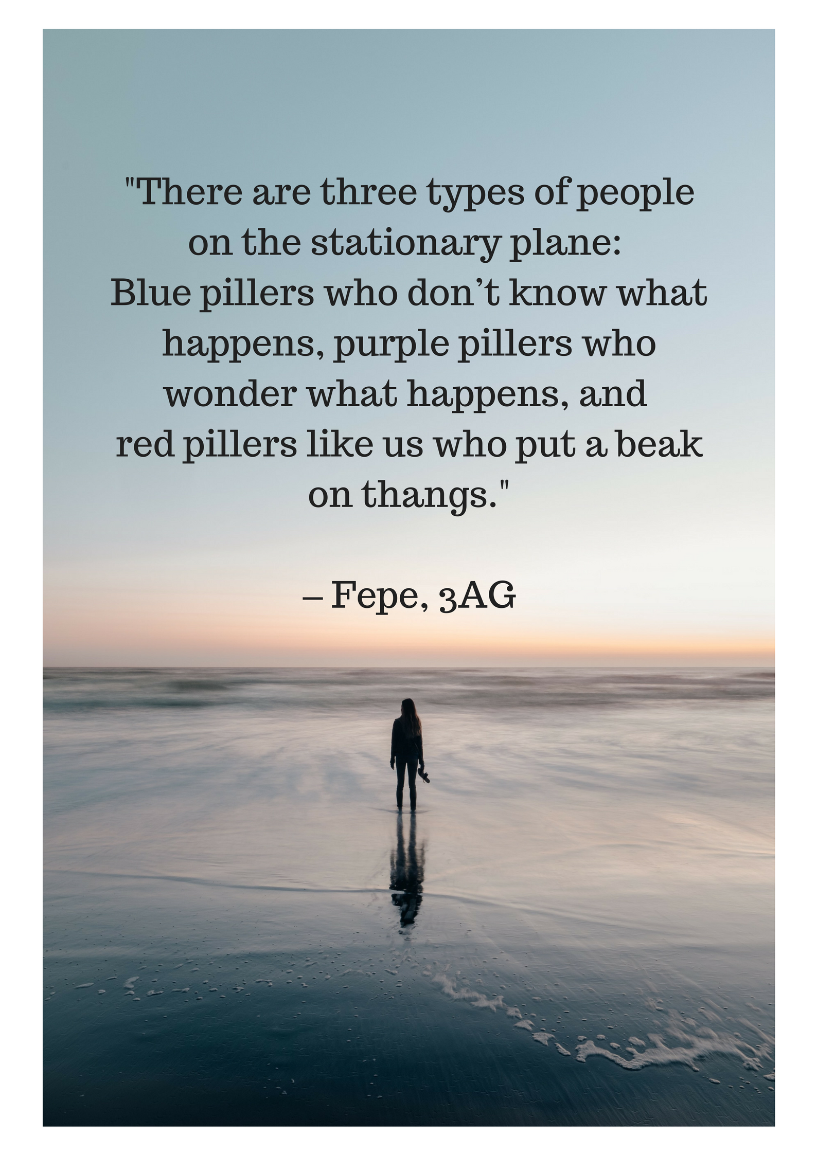 _There are three types of people on the stationary plane. Blue pillers who don’t know what happens, purple pillers who wonder what happens, and red pillers who put a beak on thangs._(1).png