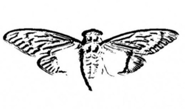 5568f6f7-man_file_1055510_mens_internet-mysteries_01_01_cicada_3301_logo.jpg