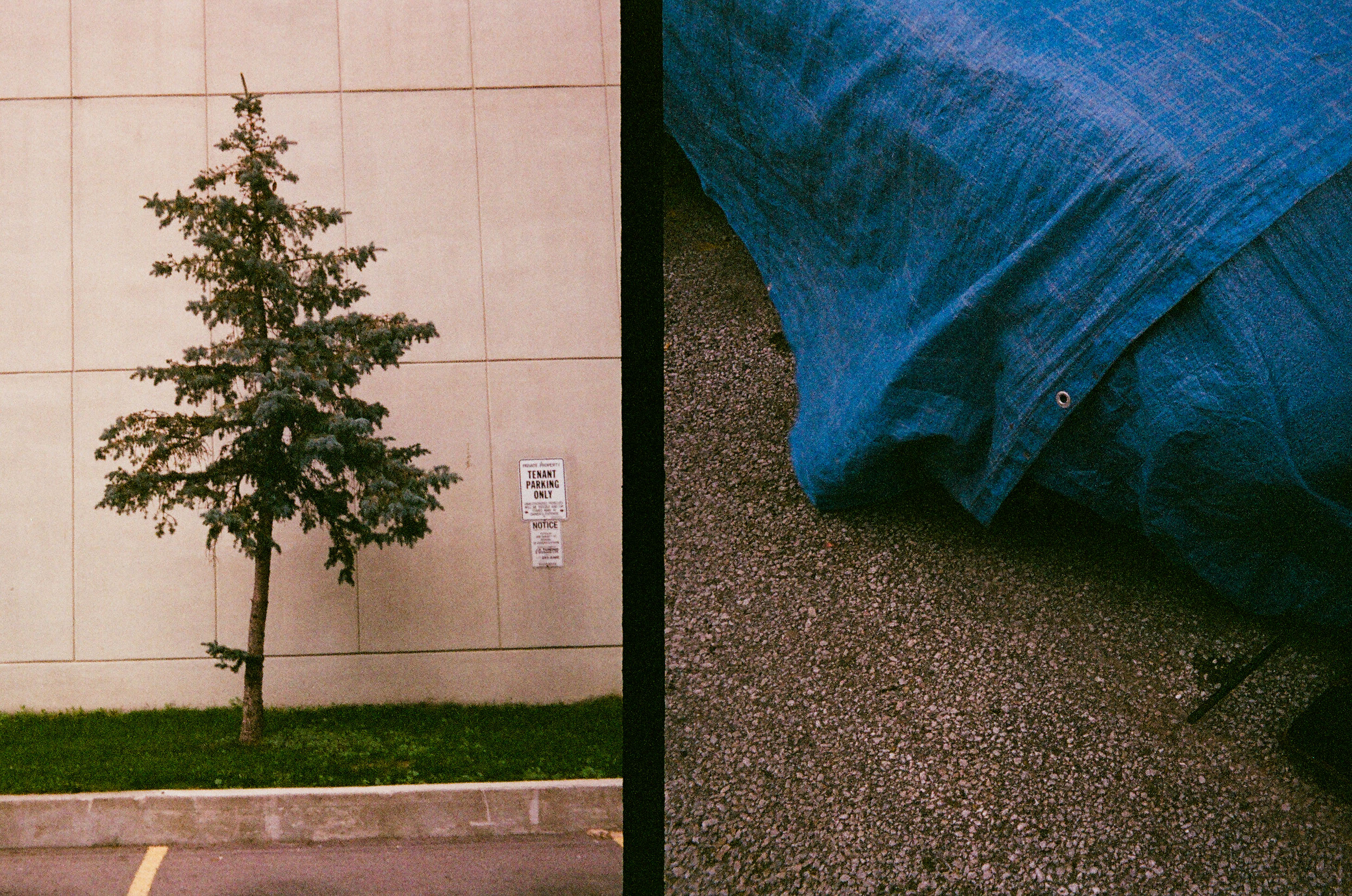 08530005.jpg