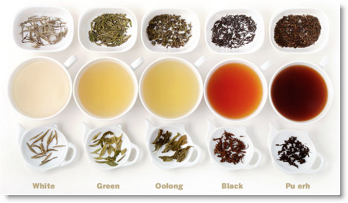 Why do I prefer white tea??? — Steemit