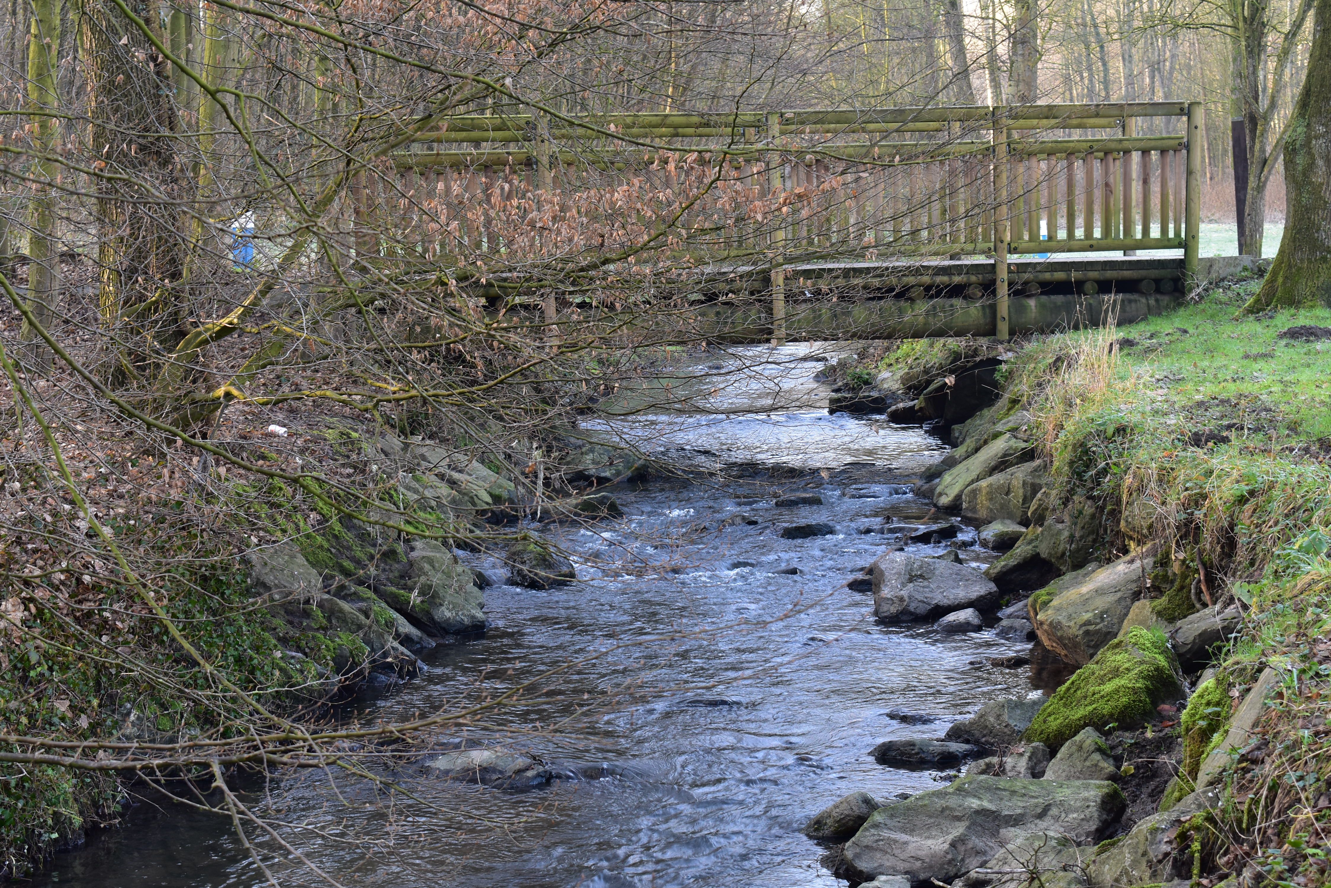DSC_0139.JPG
