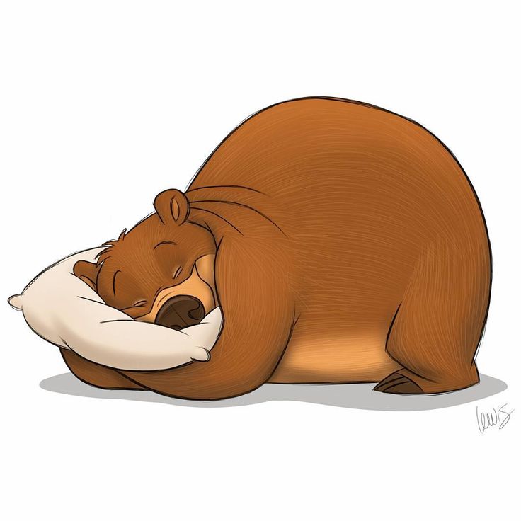 Image result for bear hibernation cartoon
