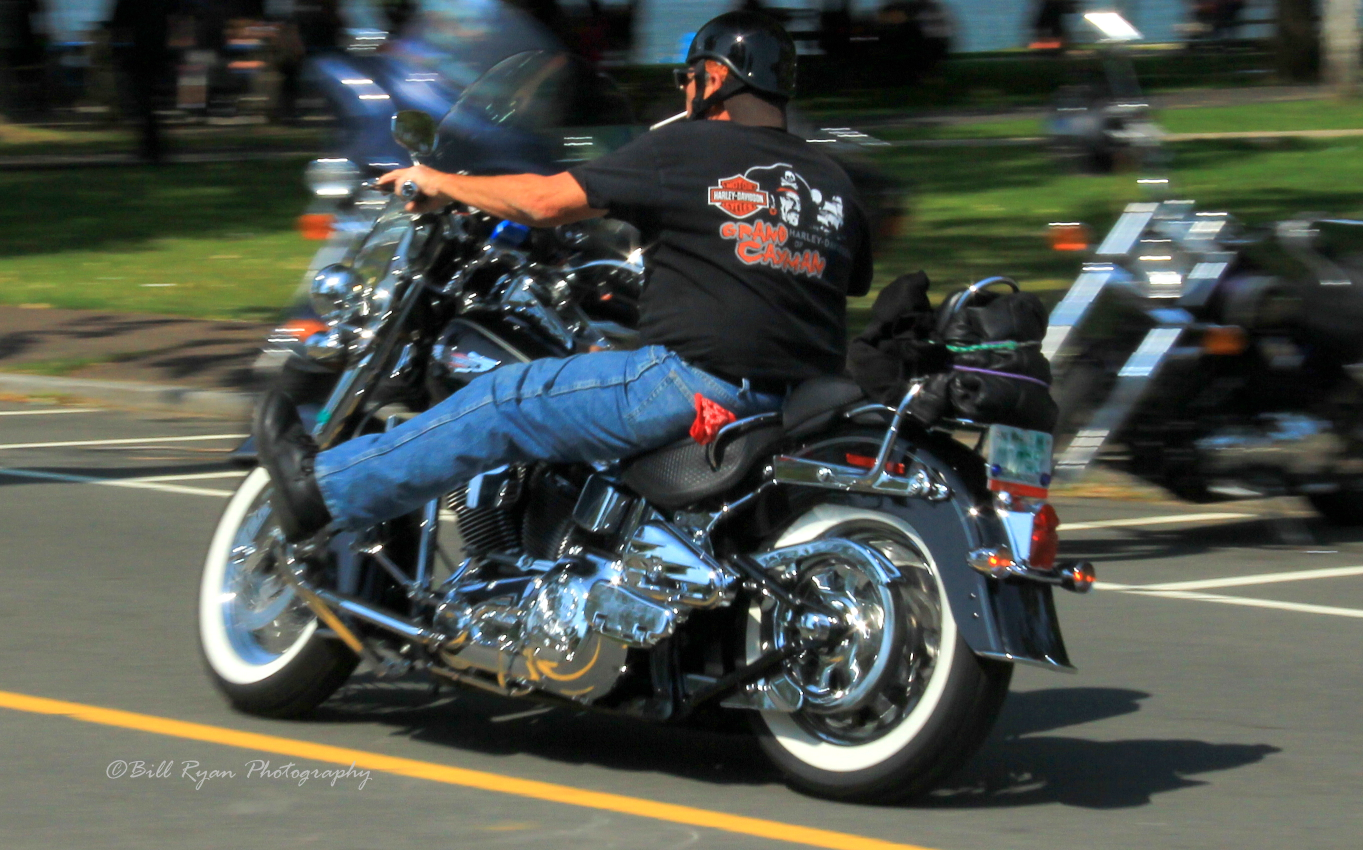 Harley rider #2 IMG_0713.jpg