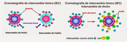 cromatografía de intercambio de iones