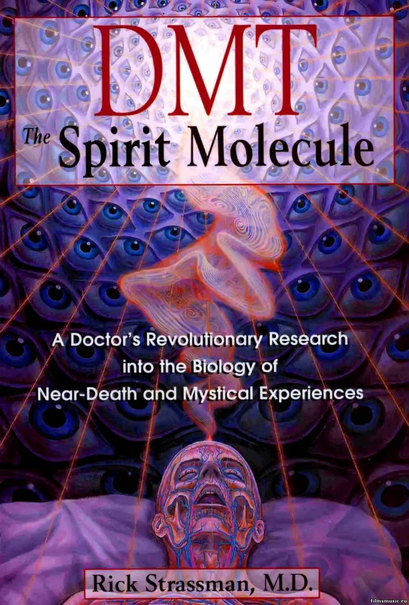 TheSpiritMolecule2010.jpg
