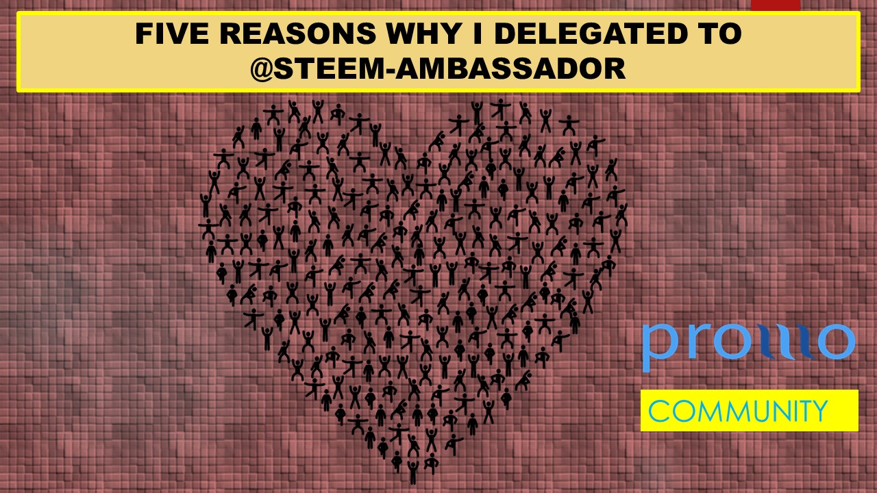 Five Reasons Why I Delegated to Steem-Ambassador.jpg