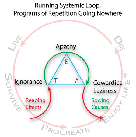 Running-Systemic-Loops.jpg