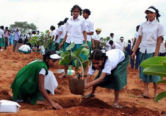 School-children-planting.jpg