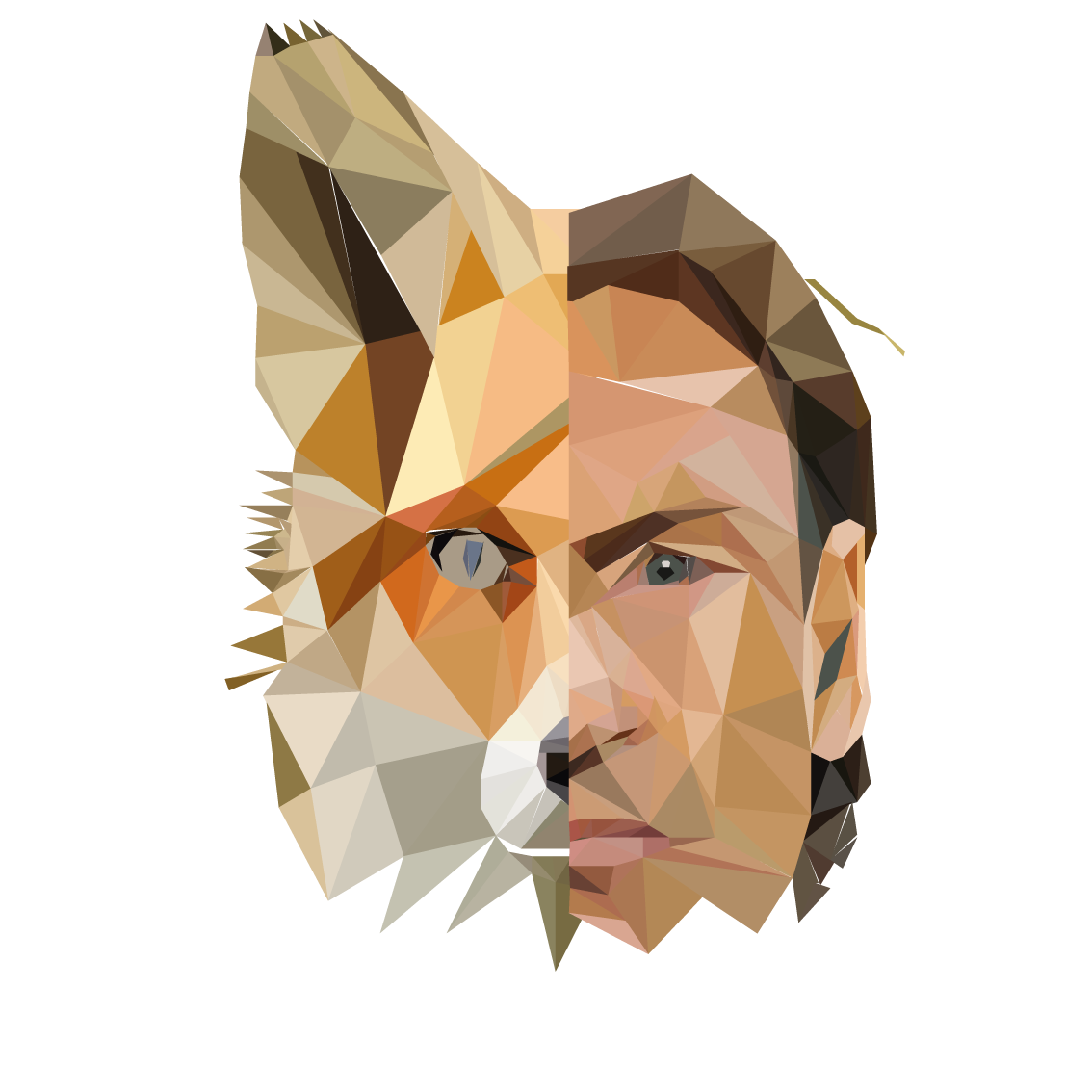 renard-fox.png